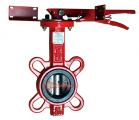 Дисковый затвор VikArm BF DN100 PN16